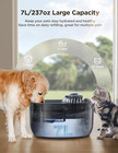 7l 1 8gal Dog Water Fountain For Large Dog   Dog Water Bowl Dispenser Pet Water