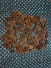 Genuine Surf Tumbled Natural Brown Sea Glass 100 Pieces 1 2  - 1  Ct Beaches