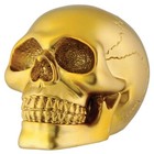 Small Gold Skull Skeleton Figurine Miniature Halloween Decoration 2 75 In