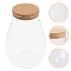 Glass Orbs Terrarium Holder Glassless Terrarium Small Oval Vase