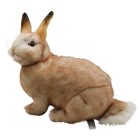 Hansa 7797 Cream Rabbit 35cm Plush Toy Rabbit Bh7797 Realistic Stuffed Animal