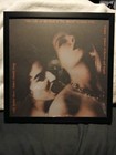 Cradle Of Filth  vempire Era  12  X 12  Double Sided Poster In Frame Wall Mount