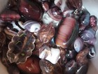 Lampwork Beads  1 2 Lb  Bulk  Purple  Lavendar  Plum  Violet  Handmade Glass