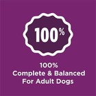 Purina Dog Chow Complete Adult Dry Dog Food  High Protein Real Lamb  44 Lb Bag