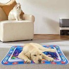 Thickened Cat Water Sensor Play Mat With Fish Dog Pet Play Mat Cool Comfort New