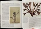 Fiji Art   Life In The Pacific By Steven Hooper Lacma Exhibit Must Have Book 