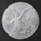 2024  1 1-oz American Silver Eagle Us Coin In Capsule