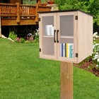 2-tier Free Library Book Box Pine Wood Outdoor Book Sharing Cabinet