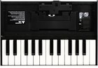 Roland K-25m Boutique Series Keyboard Unit   Startech com Uusbhaub6