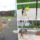 Tetherball Ball And Rope Set  Tetherball Set Metal Hook ball Pump With Needle
