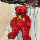 Ty Osito Beanie Baby And Buddy