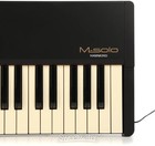 Hammond M-solo Portable Organ - Black