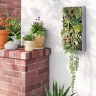 19  Hanging Artificial Succulent Wall Box - Threshold
