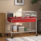 39  Small Animal Cage Guinea Pig  Hedgehog  Ferret Pet Habitat  Red