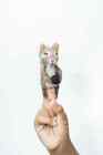 Finger Puppet Chipmunk 100  Wool Felt Toy Forest Animal Handmade Fair Trade