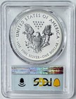 2021-w Reverse Proof  1 Type 1 American Silver Eagle Pcgs Pr70 Fdoi Flag Label