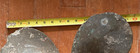 Propeller Boat Bronze Large 3 Blade Vintage Patina Nautical Decor