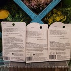 Raw Sugar Lip Love Almond Milk Agave Pineapple Coconut Marqui Berry Balm Scrub 3