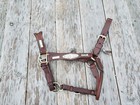 Western Leather Sterling Silver Show Halter