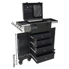 Rolling Makeup Train Case Cosmetic Trolley Travel Makeup Storage Organizer Black