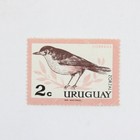 Lot Of 7 Uruguay 1930s-1960s Stamps Mint Hinged