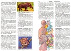 Enciclopedia De Oro 16 Tomos Completos A Todo Color -1514 Paginas-