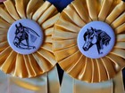 Guilford Horse Association Horse Show Ribbons Equestrian Events Vintage Awards