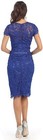 Mother Of The Bride Knee Length Dresses Cocktail Semi Formal Cruise   Plus Size 