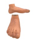 Adult Jumbo Barefoot Funny Slippers Caveman Shoes Realistic Costume Accessory