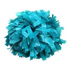  Plastic Cheerleader Cheerleading Pom Poms 6 Inch 1 Pair 2 Pieces Teal