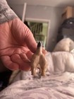 Beswick Cairn Terrier