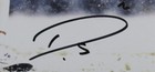 Darius Slay Signed autographed 11x14 Photo Philadelphia Eagles Psa dna 193658