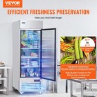Vevor Commercial Refrigerator 19 32 Cu ft Reach In Upright Refrigerator 1 Door