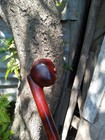 Original 1920 Style African Rosewood Ironwood Mahogany Walking Hiking Stick