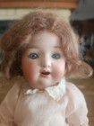 Antique Germany Bisque Head Heubach Kopplesdorf 321 Doll 11 