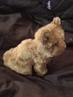 Antique Vtg Early Mohair Kitty Cat Teddy Bear Glass Eyes Steiff Mini 4 