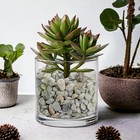 18 Pound Small Rocks Decorative Tiny Pea Gravels For Aquarium Fish Tank Rocks   