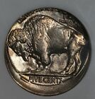 1920  05 Ngc Ms61 Struck 15  Off Center  Mint Error  Buffalo Nickel 
