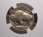 1934  d  Indian Head Buffalo Nickel 5c Ngc Ms64  001 Unc Bu Uncirculated Ecc c
