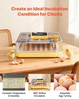 Vevor 48 Egg Incubator Auto Turning Egg Candler Temperature   Humidity Control