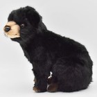 Bh7040 Hansa Black Bear Cub 25 Realistic Stuffed Animals Plush