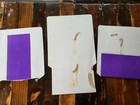 Rare Lot Of 3 Camel Store Display Sign Advertising Cardboard Cigarette Tobacco 