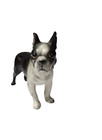 Vintage Japan Champion Boston Terrier Dog 6 5 x5  Porcelain Figurine 8371 Collar