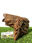 Malaysian Driftwood For Aquarium Fish Tank  Reptile Natural Pet Safe -m 12x9x4