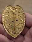 Obsolete Vintage Assistant Fire Chief Badge Glen Arbor Michigan