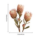    three Large Pink Monarch Floral Wall Decal 49 x59  Vinyl Sticker For Room Decor