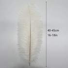 10pcs Large White Ostrich Feathers 16-18 Inch Fluffy Feather For Crafts Home Par