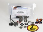 04 05 Honda Trx450r 450r Kibblewhite Azqp Valves Springs Stage 3 Hot Cam Chain