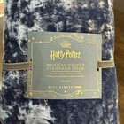 Pottery Barn Teen Harry Potter Magical Velvet Standard Sham   Blue gold