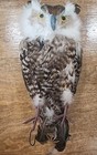 Owl Figure 11  Tall With Realistic Feathers Bird Home Decor